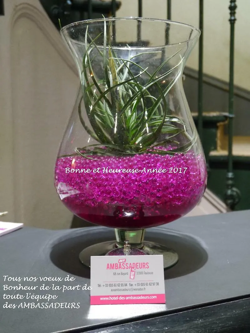 Hotel Des Ambassadeurs Toulouse 2*,  Fransa